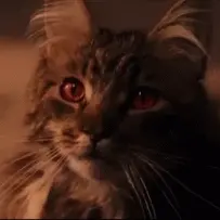 Profilový obrázek uživatele s ID číslo 1218